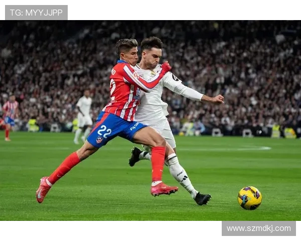 西甲联赛比赛视频回放获取方式